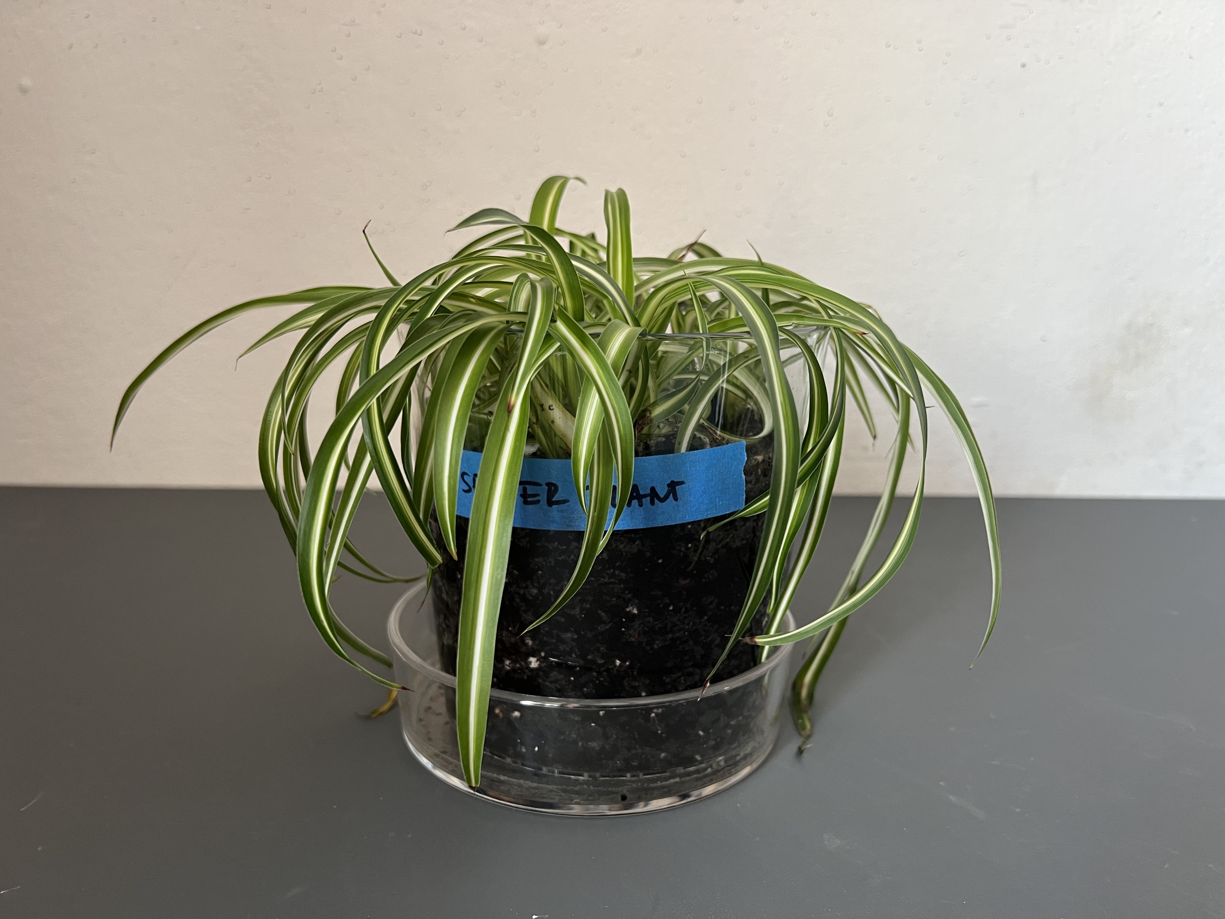 Bio-machine documentation