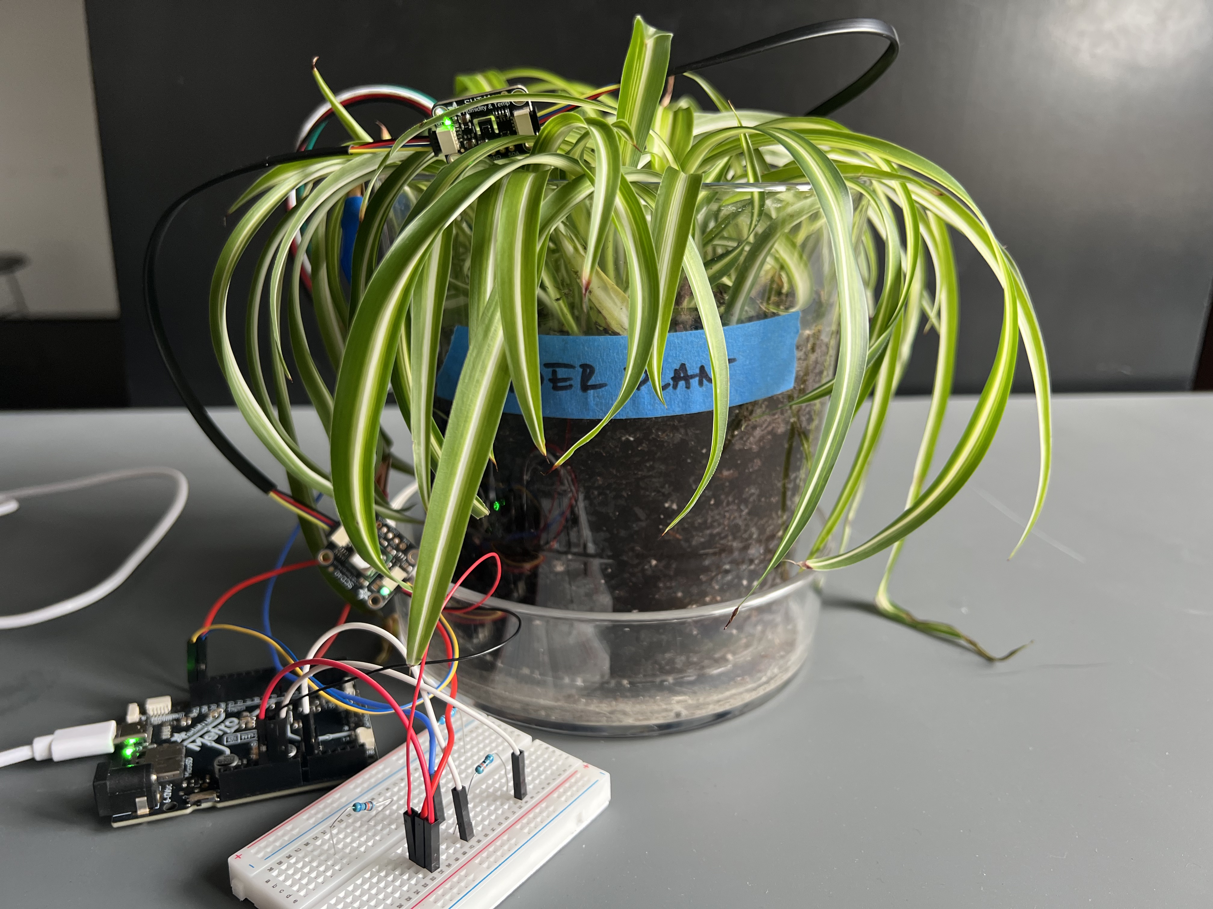 Electrode placement — petiole detail