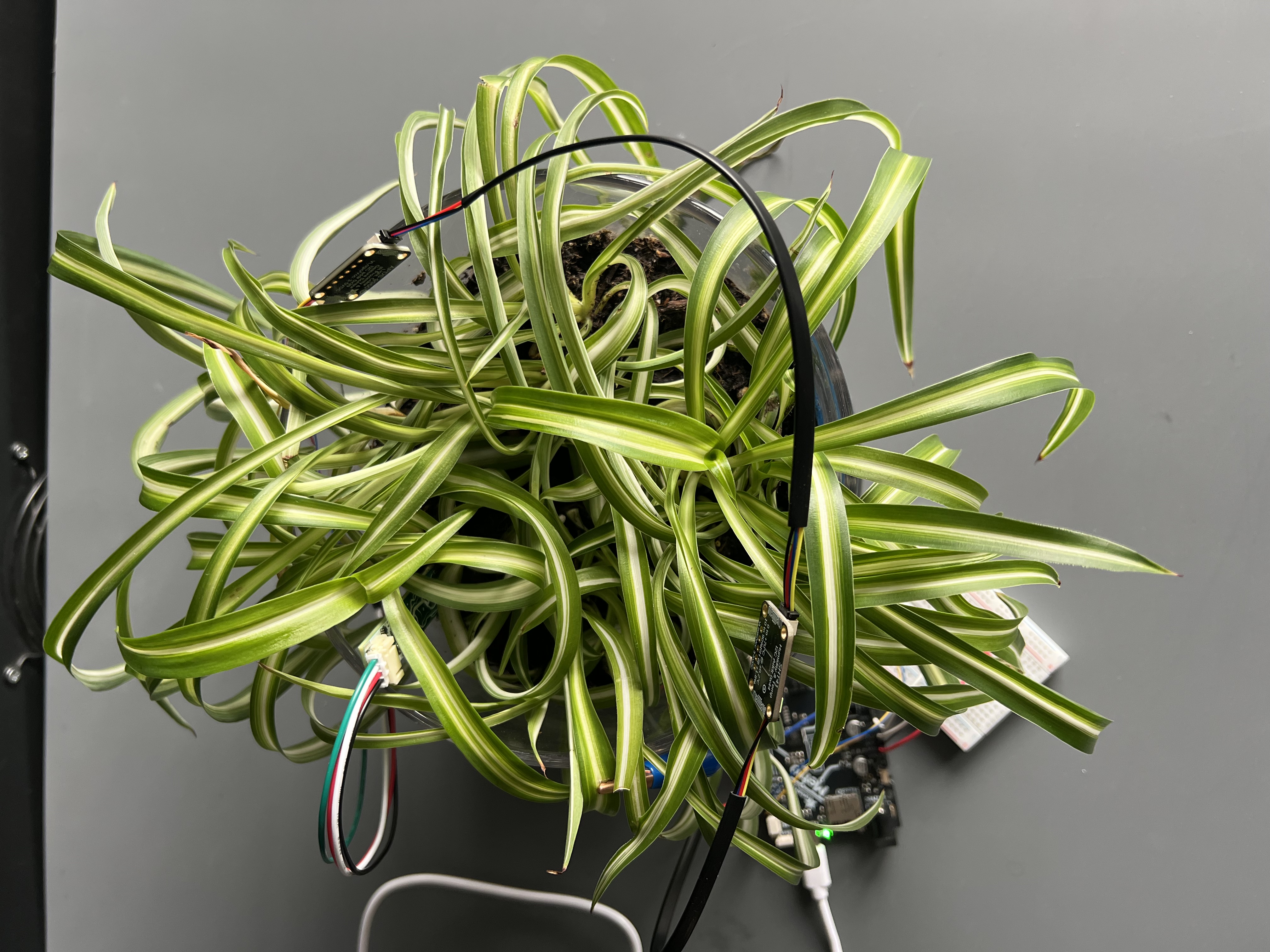 Touch interaction session