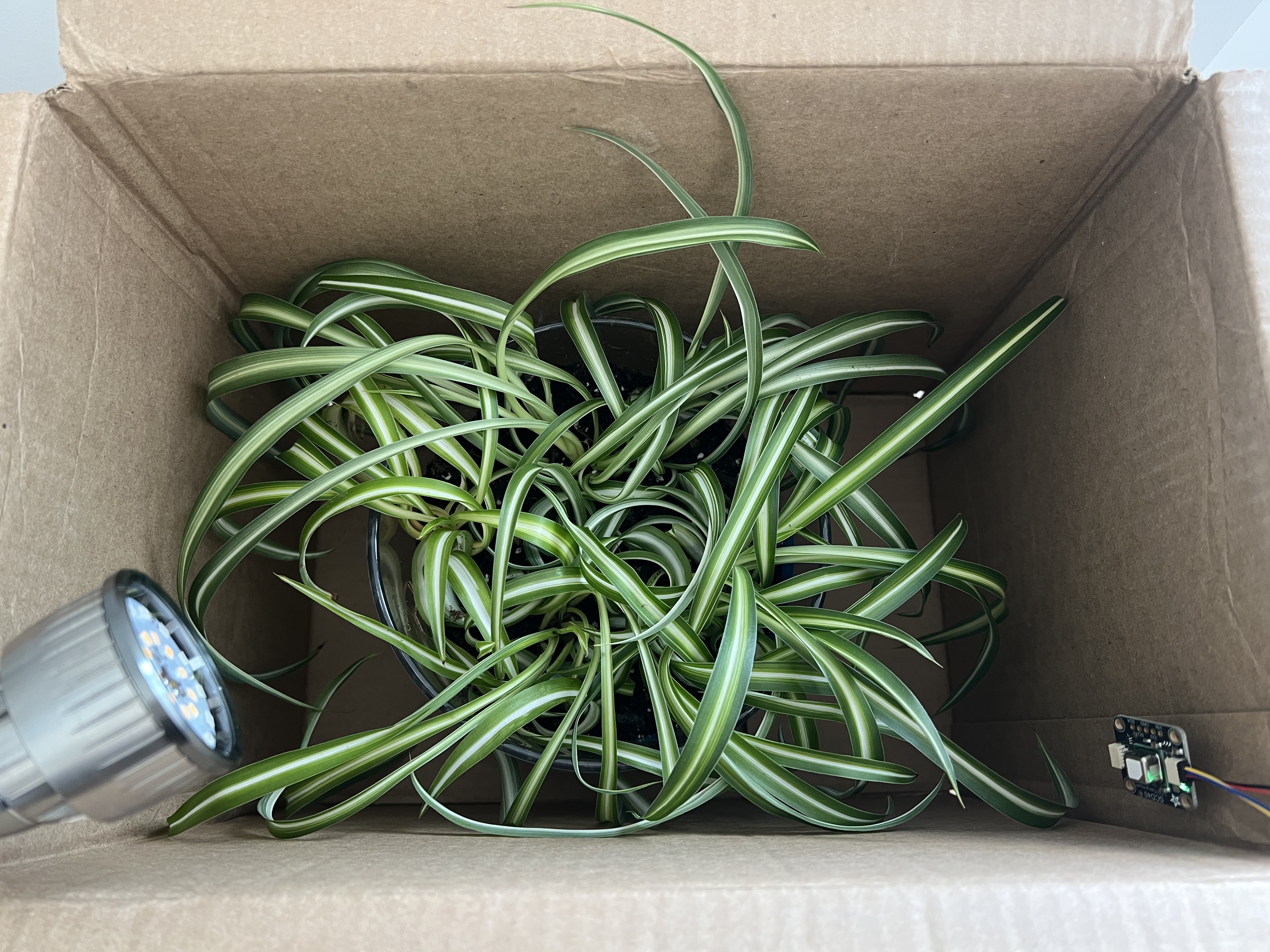 Experimental enclosure — sealed conditions