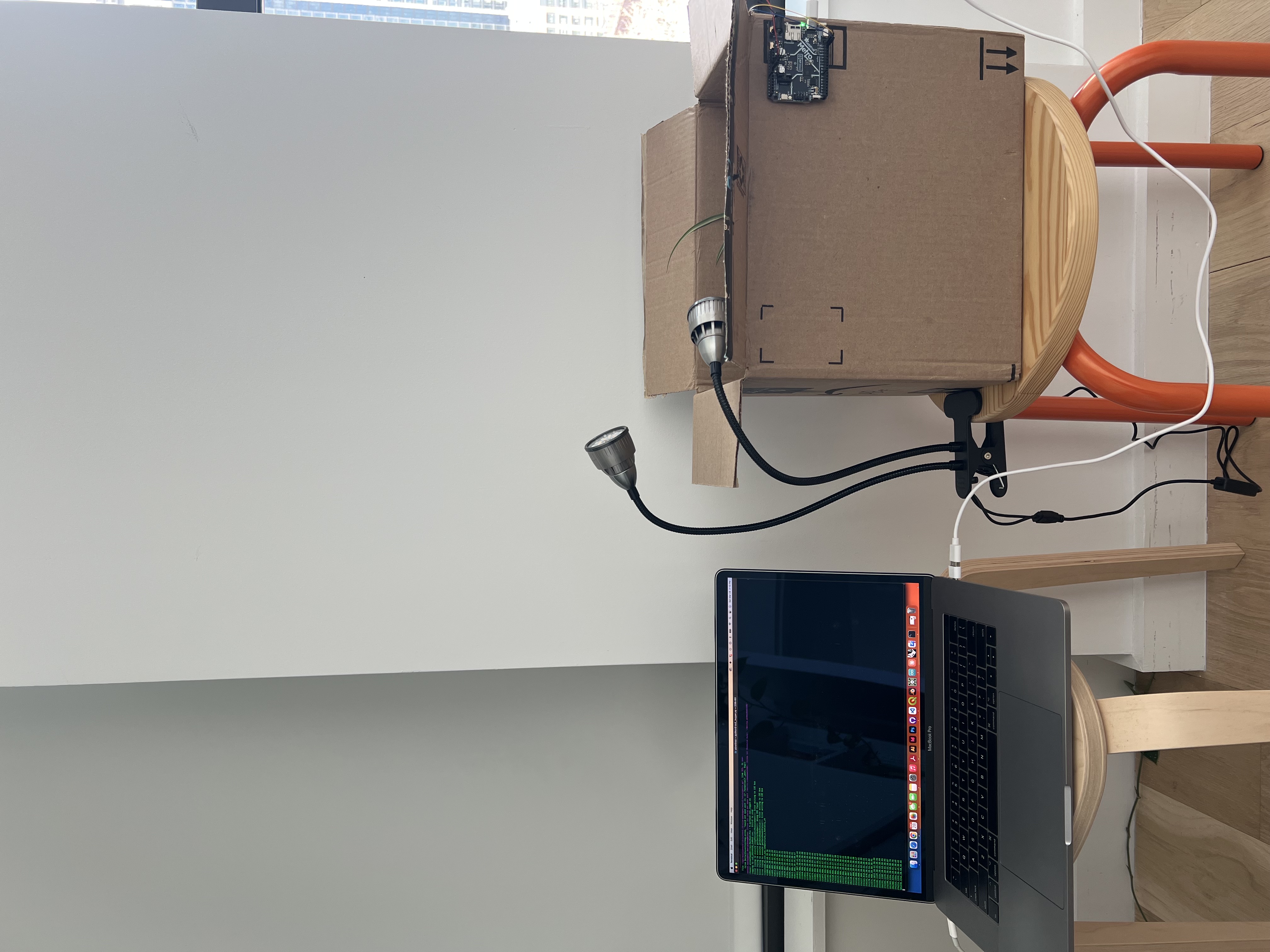 650nm + 450nm spectrum