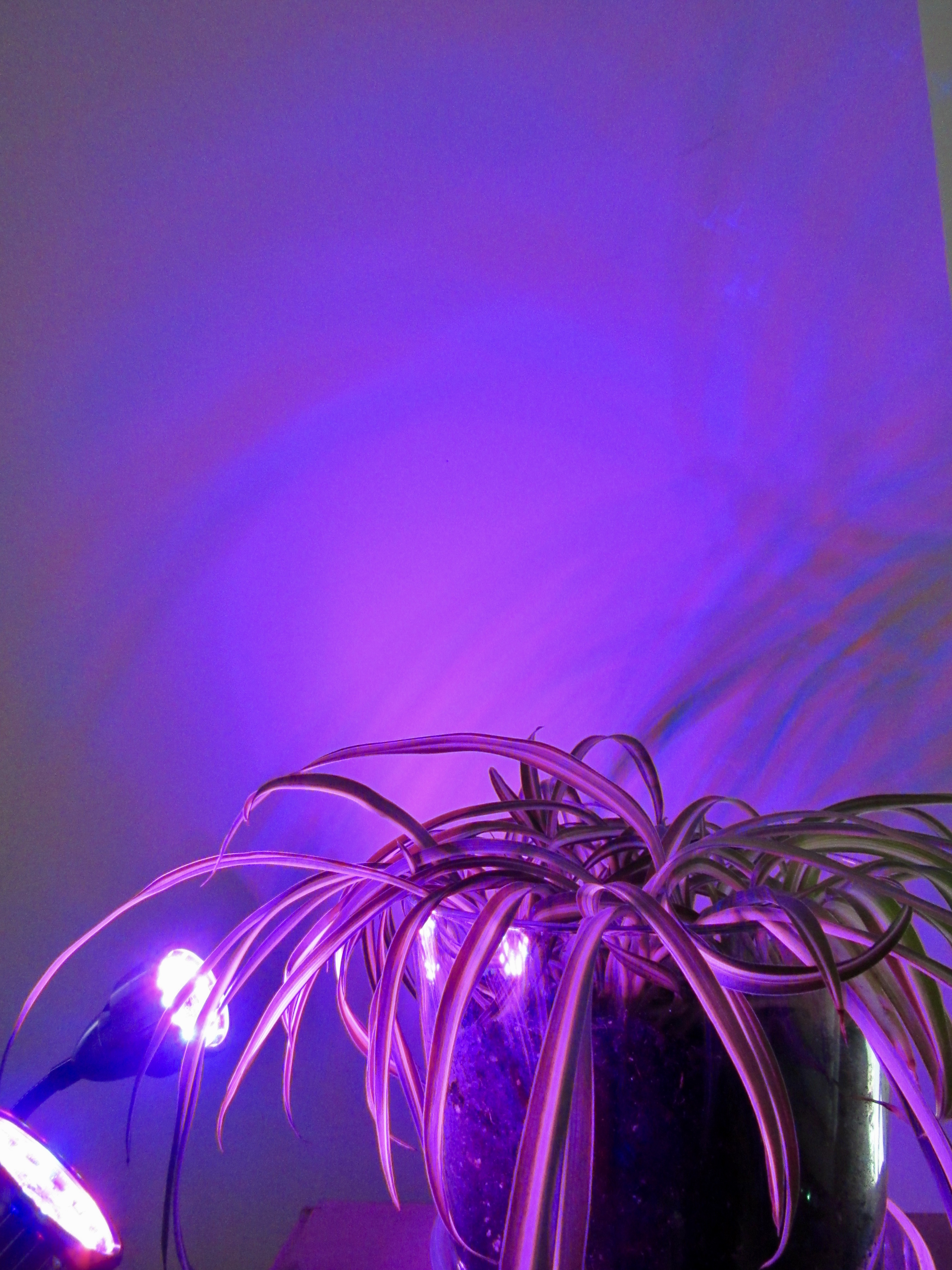 Sensor placement detail