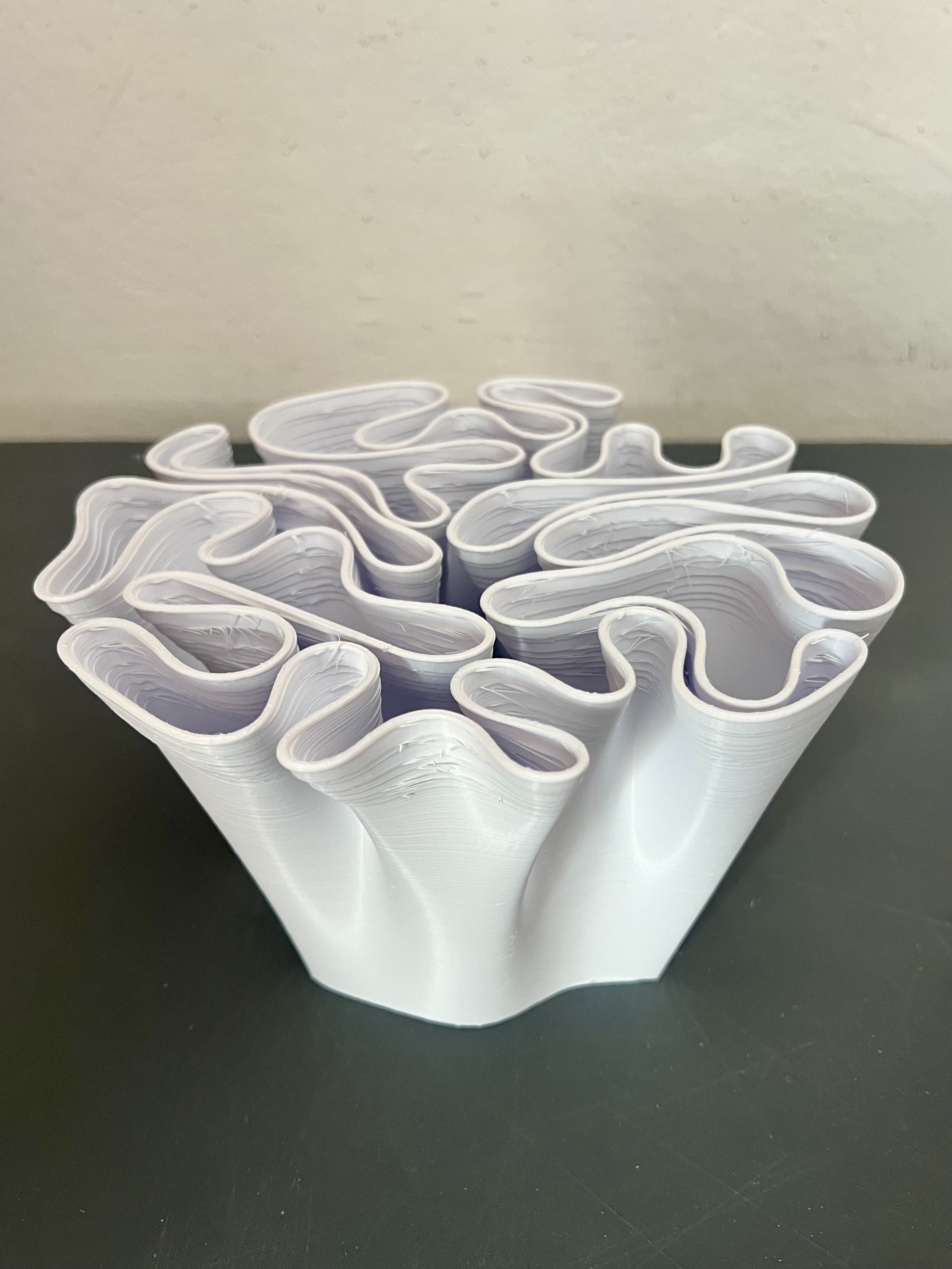 Mycelium growth stage